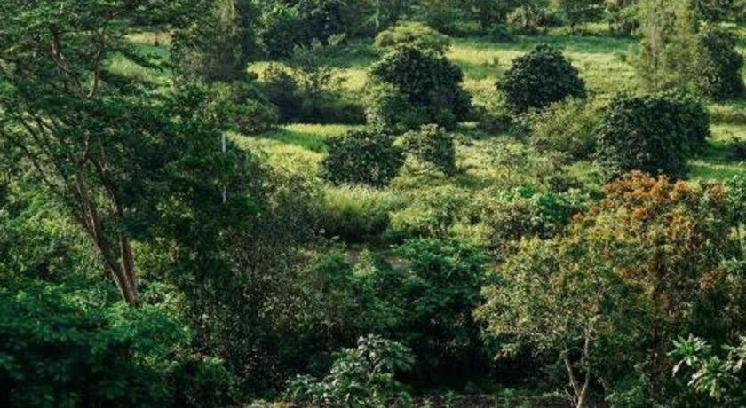 Rabbiz Hill Resort Ban Sam Nat Bagian luar foto